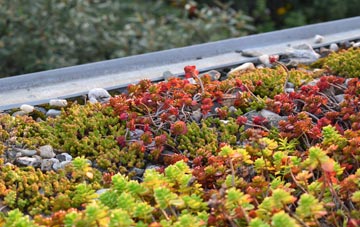 the cost of Binnegar green roof installation