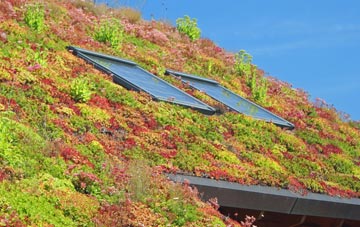 Binnegar living roof systems