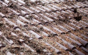 Binnegar roof cleaning companies