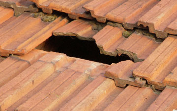roof repair Binnegar, Dorset