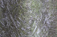 Binnegar fibreglass roof work